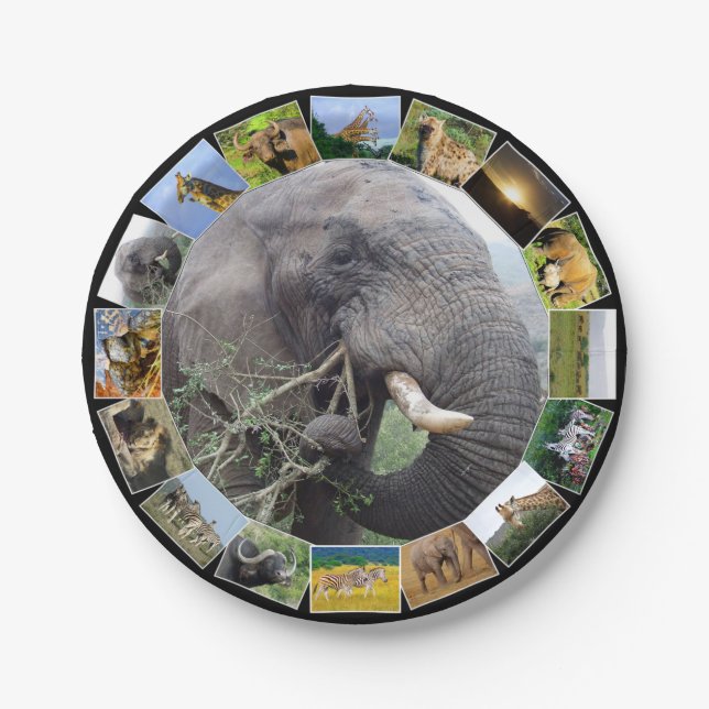 African Wildlife Photo Collage Elephant Bull Paper Plate (Front)