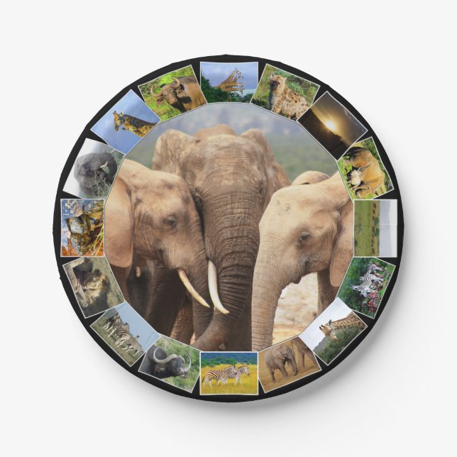 African Wildlife Photo Collage Elephant Family Paper Plate (Front)