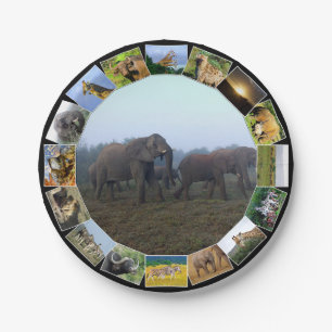 African Wildlife Photo Collage Elephant Herd Mist Paper Plate