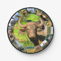 African Wildlife Photo Collage Muddy Buffalo