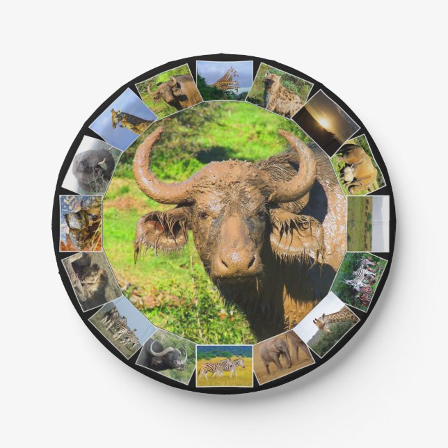 African Wildlife Photo Collage Muddy Buffalo Paper Plate (Front)