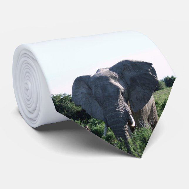African Wildlife Photography Elephant Big Ears Tie (Rolled)