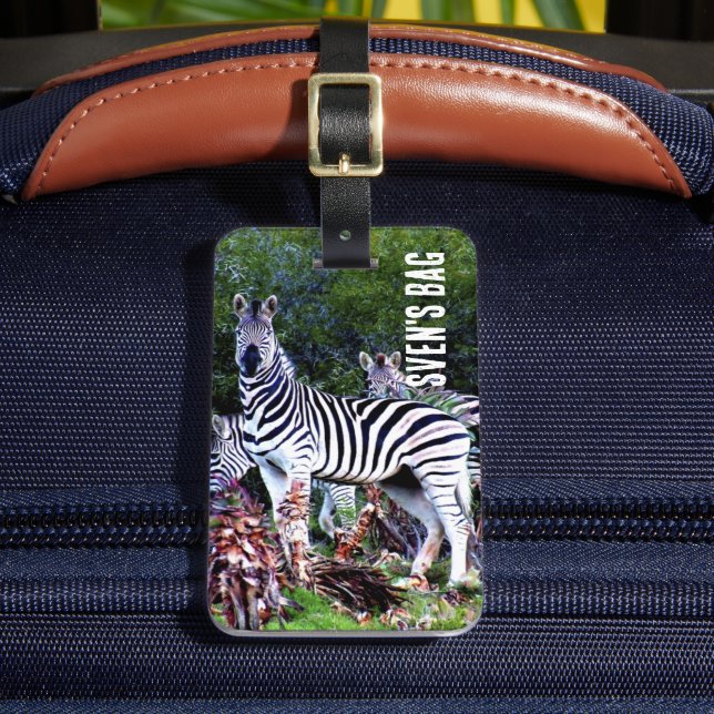 African Zebra Aloe Luggage Tag (Front Insitu 2)