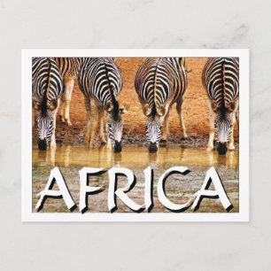 AFRICAN ZEBRA - (Mojisola Onifade) Postcard