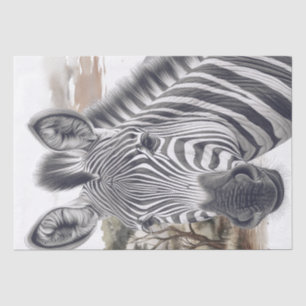 African Zebra Pencil Sketch Tissue Paper