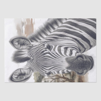 African Zebra Pencil Sketch Tissue Paper