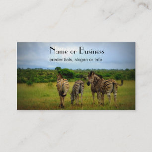 African Zebras in a Natural Setting Business Card