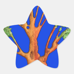 Africa's Acacia Beauty: Serengeti Serenity. Star Sticker