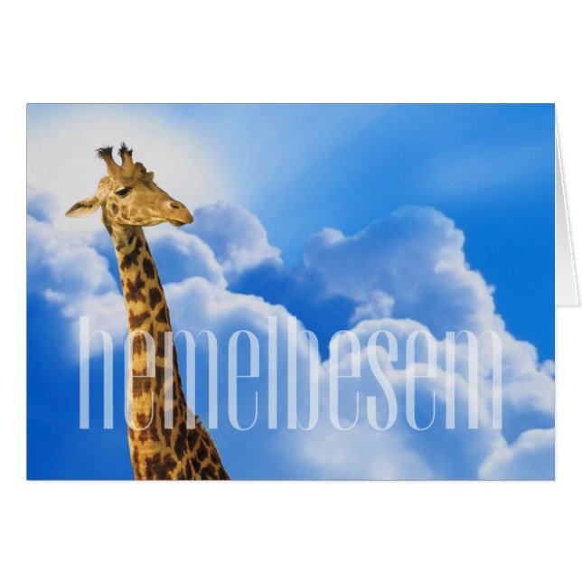 #AfrikaansIsLekker - Hemelbesem (Front Horizontal)