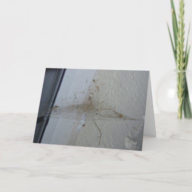 “After a Spider's House-Party" Hallowe’en Card (Front)