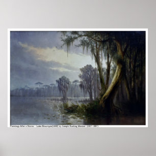 After a Storm -- Lake Maurepas[1888] Poster