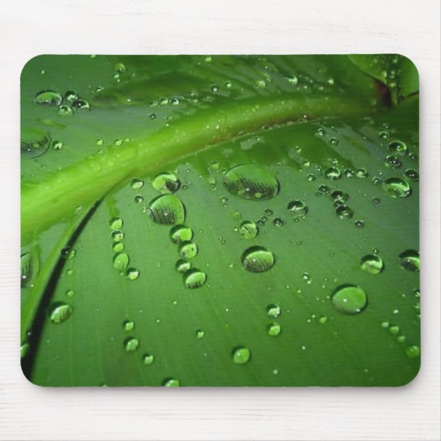 After rain mouse mat (Front)