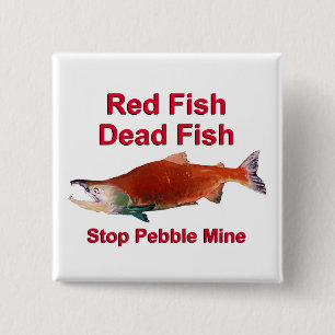 After Salmon - Stop Pebble Mine 15 Cm Square Badge
