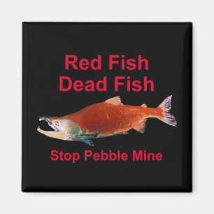 After Salmon - Stop Pebble Mine Magnet