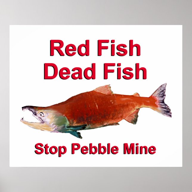 After Salmon - Stop Pebble Mine Poster (Front)