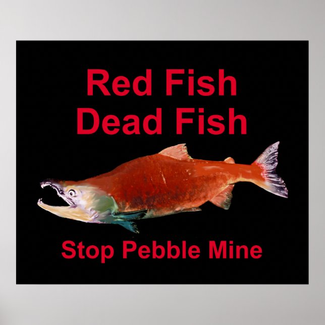 After Salmon - Stop Pebble Mine Poster (Front)