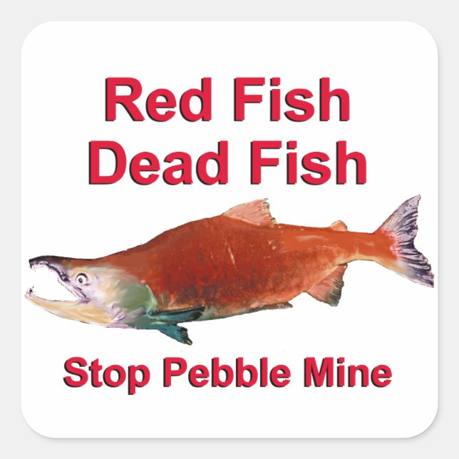 After Salmon - Stop Pebble Mine Square Sticker (Front)