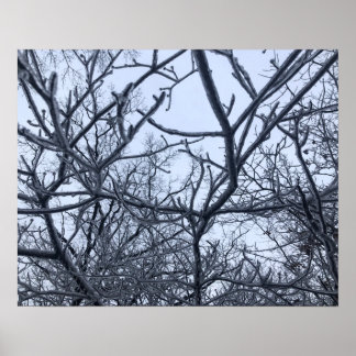 After The Ice Storm Poster