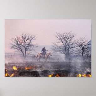 After the Prairie Fire, Flint Hills, Kansas Poster