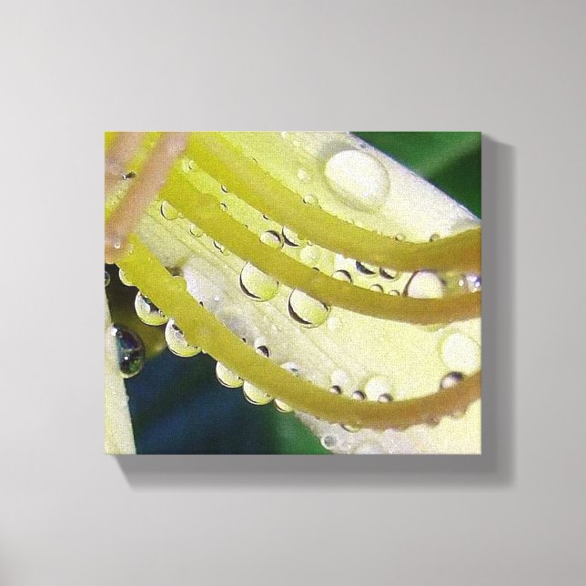 After the Rain! Canvas Print (Front)