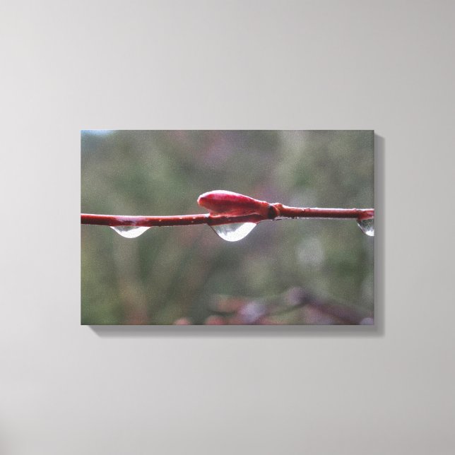 After the Rain Canvas Print (Front)