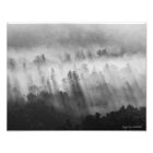 After the Rain - Early Morning in the Adirondacks