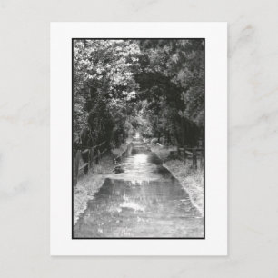 'After the Rain' Fire Island Postcard