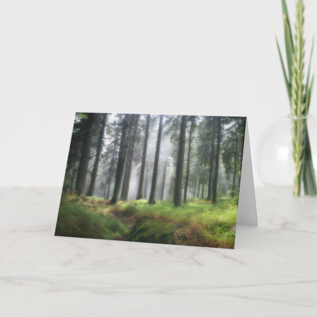 After the Rain • Greeting Card (Front)