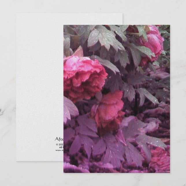 After the Rain Invitation (Front/Back)