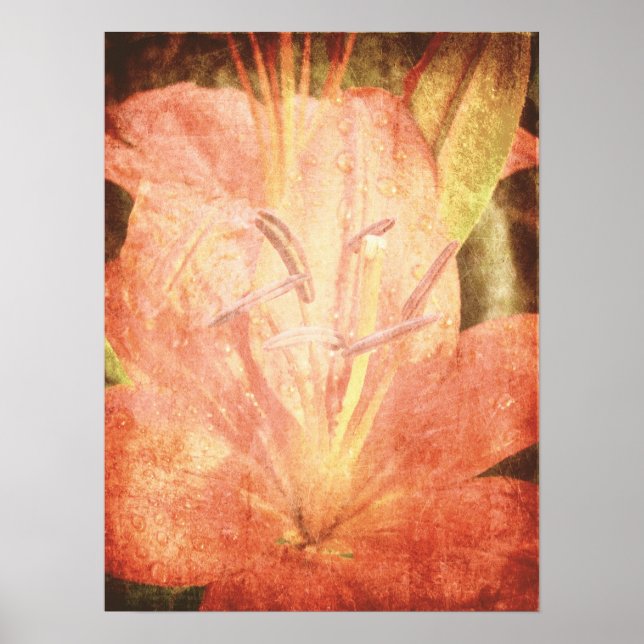 After the Rain, Lily With Texture Poster (Front)