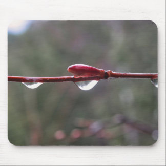 After the Rain Mouse Mat