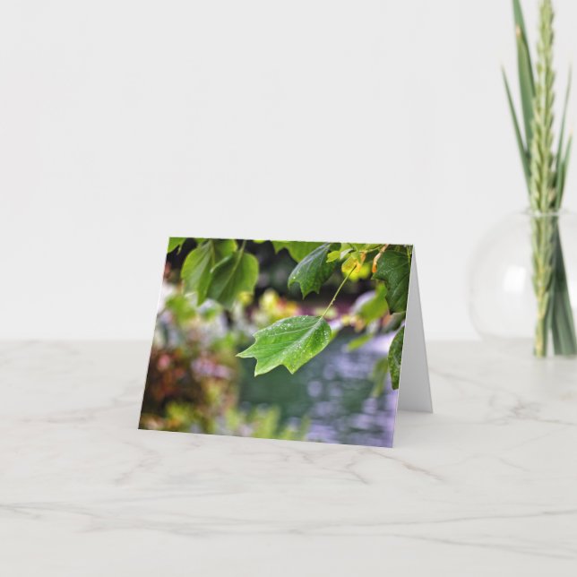 After the Rain Note Cards (Front)