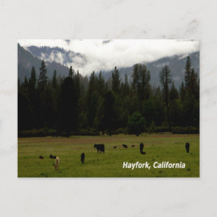 After the rain....... postcard