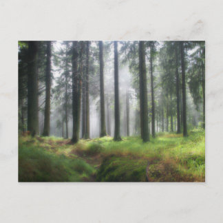 After the Rain Postcard