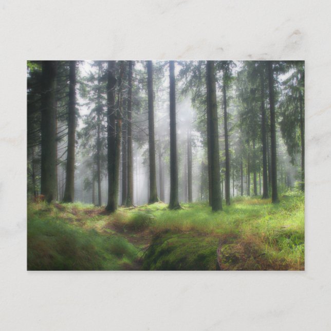 After the Rain Postcard (Front)