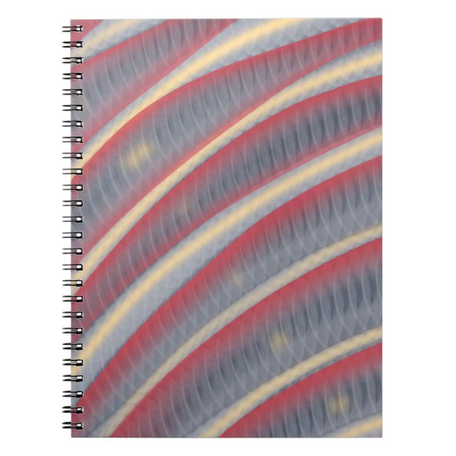 After the Snake Notebook (Front)