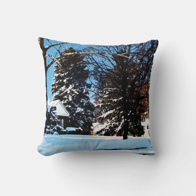 After the Snowstorm Cushion (Front)