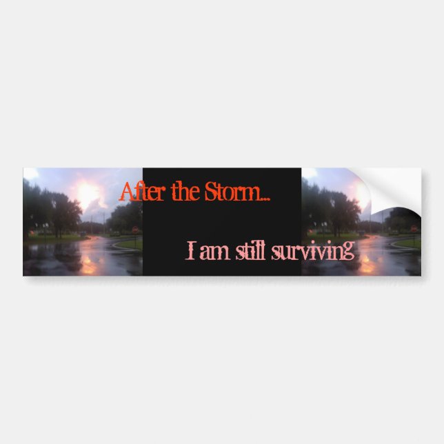 After the Storm Bumper Sticker (Front)