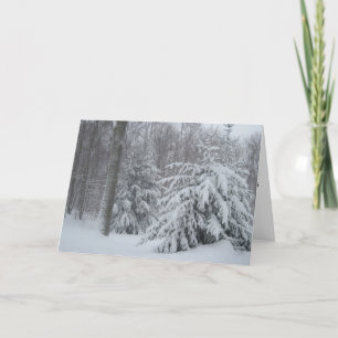After The Storm Christmas Card