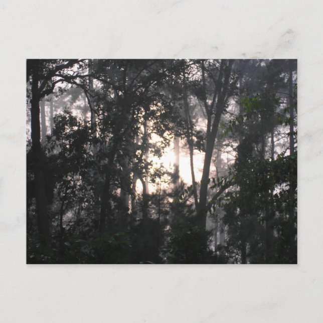 After the Storm - Postcard #2 (Front)