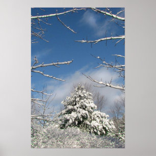 After the Storm Poster