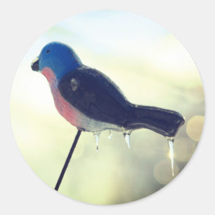 After The Storm Winter Nature  Classic Round Sticker