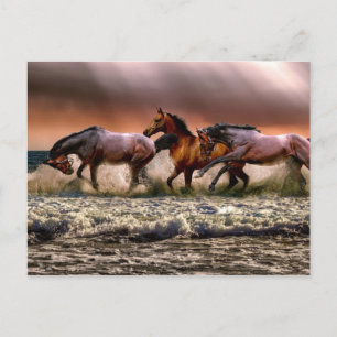 Afternoon Fun In The Surf Postcard