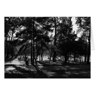 Afternoon in the Park