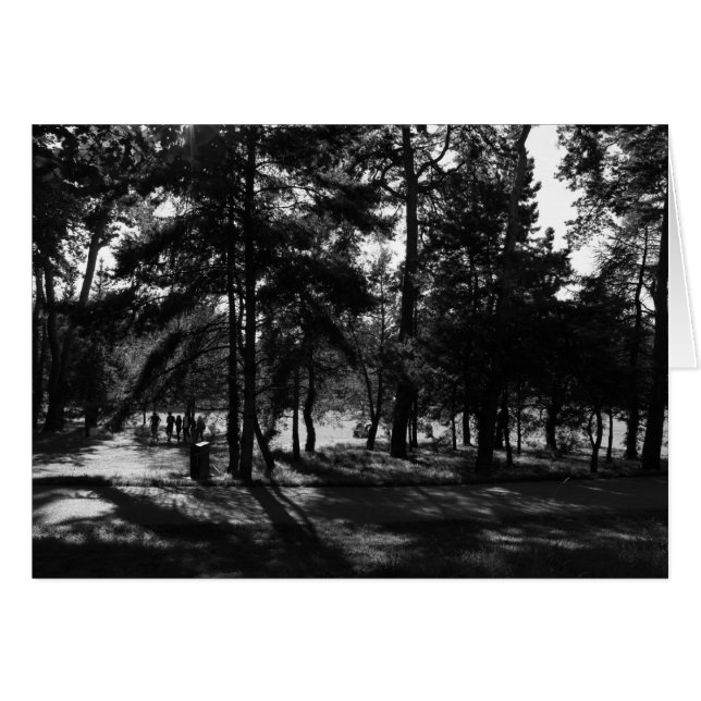 Afternoon in the Park (Front Horizontal)