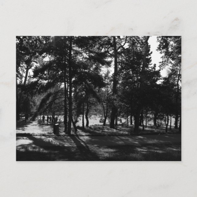 Afternoon in the Park Postcard (Front)