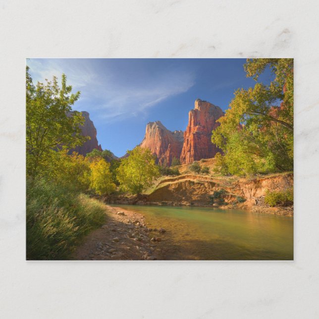 Afternoon In Zion National Park Postcard (Front)