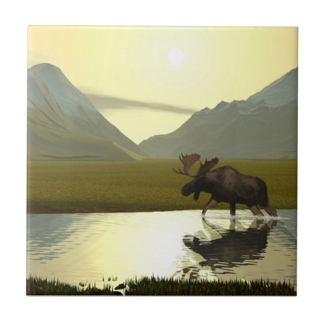 Afternoon Moose Tile (Front)