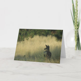 Afternoon Mulie, Greeting Card by Mark Easton