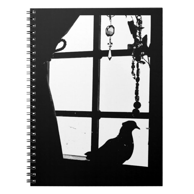 Afternoon Pigeon Notebook (Front)